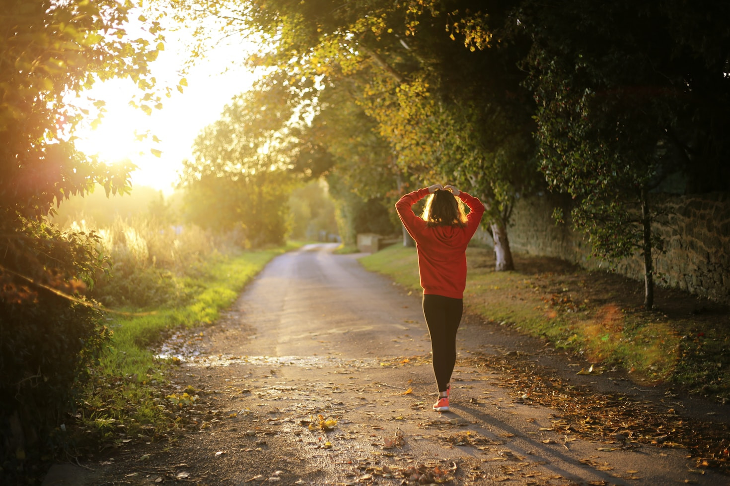 Top Wellness Practices for Busy Professionals