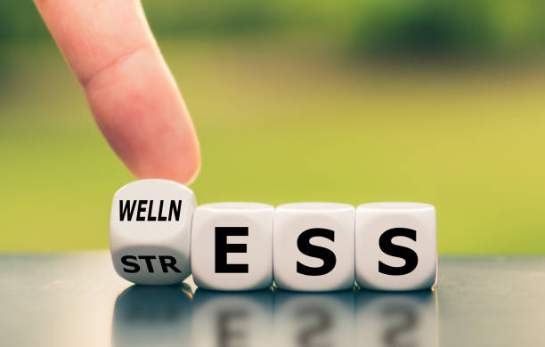 wellness_ludo